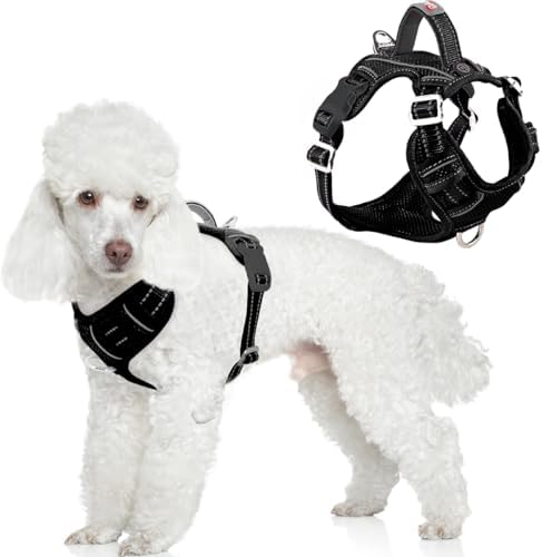 BARKBAY Dog Harness No Pull by BARKBAY