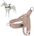 Plutus Pet No Pull Dog Harness for Puppy Small Dogs, Breathable Mesh Padded by PLUTUSPET