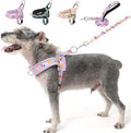 BEAUTYZOO No Pull Small Dog Harness and Leash Set, Soft Puppy Vest Harness by BEAUTYZOO