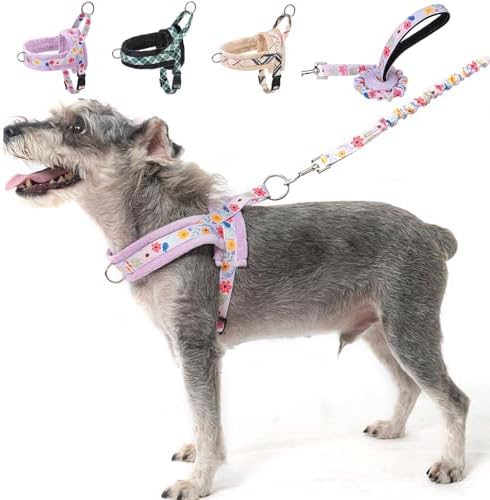 BEAUTYZOO No Pull Small Dog Harness and Leash Set, Soft Puppy Vest Harness by BEAUTYZOO