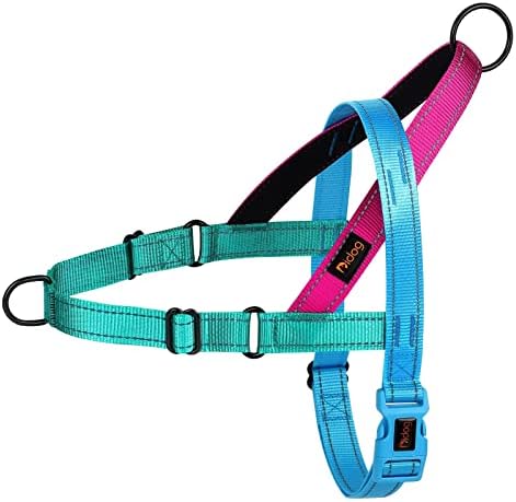 Didog No Pull Dog Harness for Large Dogs, Soft Padded Handle by Didog