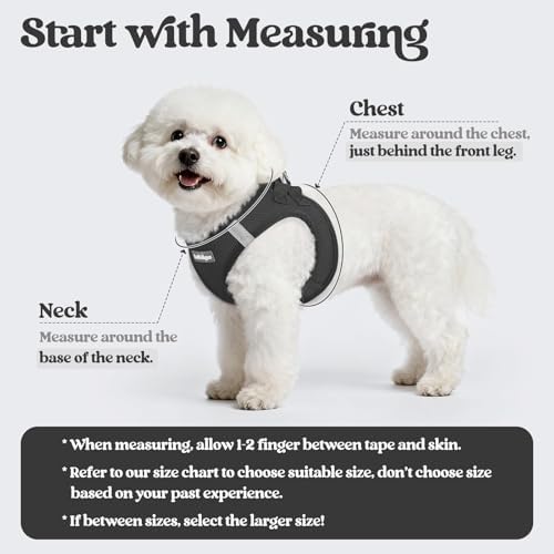rabbitgoo Dog Harness Medium Sized and Leash Set, Step-in Puppy Pet Vest - Image 2