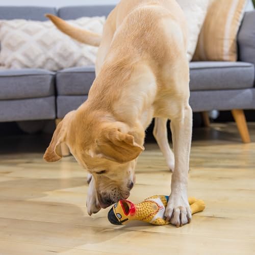 Outward Hound Squawkers Squeaky Latex Dog Toy - Image 5