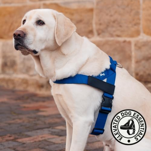 Dog Friendly Co. Dog Harness for Medium Sized Dogs - Image 5