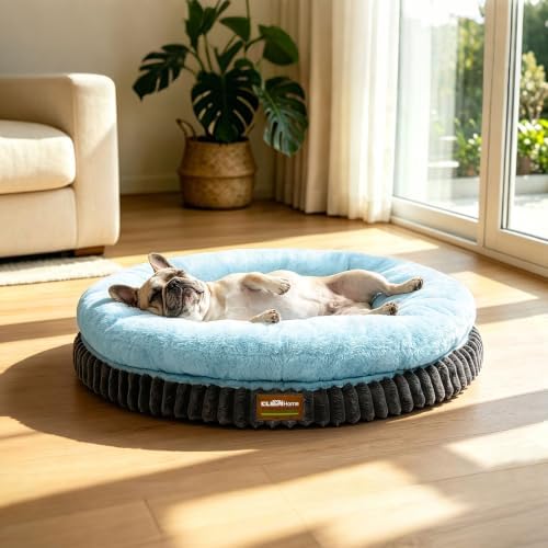 ClevaHome Orthopedic Dog Bed for Medium Dogs, 30in Ice Blue by ClevaHome
