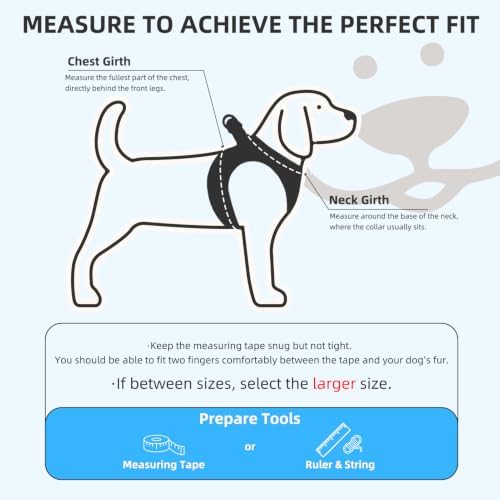 PUPTECK Dog Harness, Collar and Leash Set No Pull - Image 2