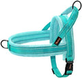Didog No Pull Dog Harness for Medium Dogs, Soft Flannel Padded by Didog