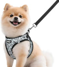 rabbitgoo Dog Harness Small Sized and Leash Set, Step in Soft Vest by rabbitgoo