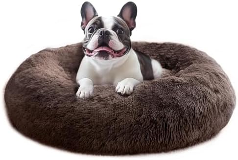 JOLLYVOGUE Calming Small Dog & Cat Bed by JOLLYVOGUE