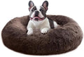 JOLLYVOGUE Calming Small Dog & Cat Bed by JOLLYVOGUE