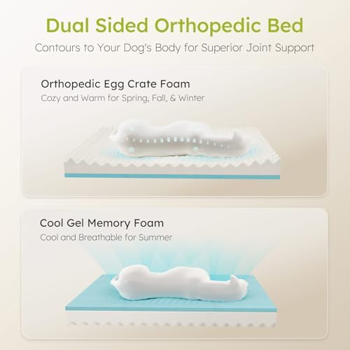 CWAWZ XXL Dog Bed for Extra Large Dogs, Giant Orthopedic Dog Bed - Image 2
