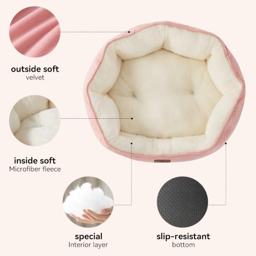 Asvin Small Dog Bed for Small Dogs, Cat Beds for Indoor Cats, Pet Bed for Puppy - Image 3