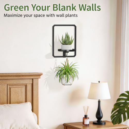 LASZOLA Plant Picture Frame Holder Shelf Wall Window Indoor - Image 3