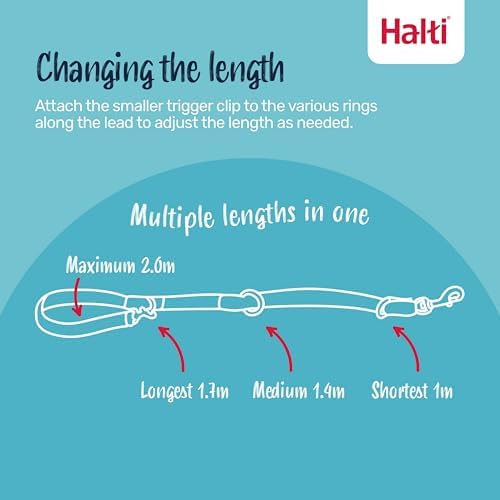 Halti Training Dog Leash | Size S - Image 2