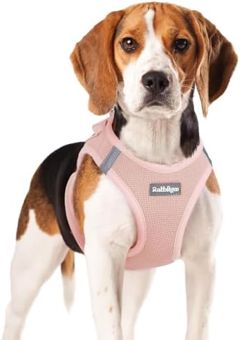 rabbitgoo Step-in Small Dog Harness, Puppy Vest by rabbitgoo