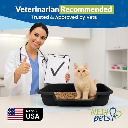 KittyGoHere Senior Cat Litter Box Large - Image 4