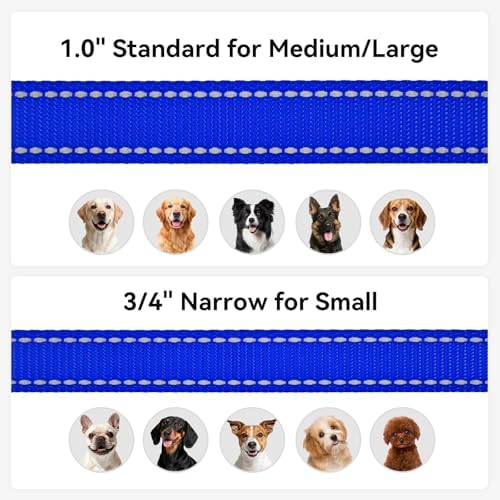 Joytale Reflective Dog Leash for Small Dogs, 6 FT x 3/4" - Image 6