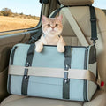 PETSFIT Large Cat Carrier with Patented Safety Buckles, Big Cats Up to 20 lb by Petsfit
