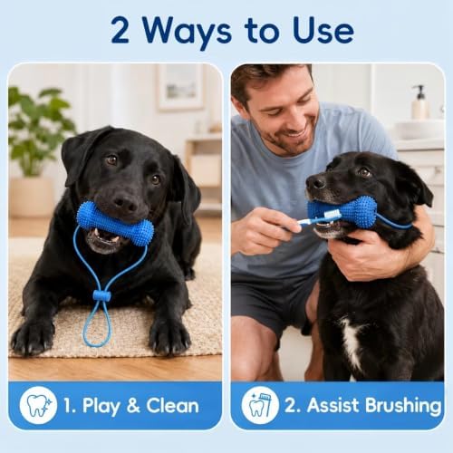 Dog Toothbrush Helper, Dog Mouth Opener - Image 3