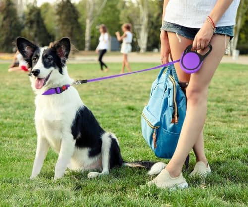 Taglory Retractable Dog Leash, One-Handed Brake - Image 2