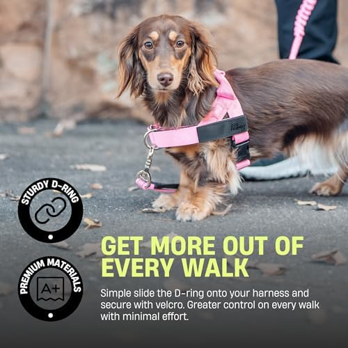 Dog Friendly Co. Front D-Ring Harness Attachment - Image 5