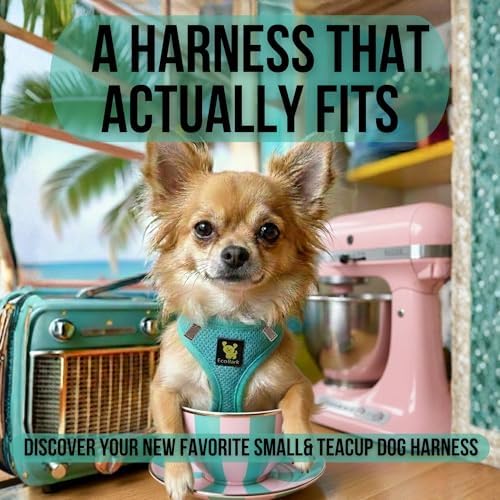 EcoBark Step in Dog Harness - Image 2