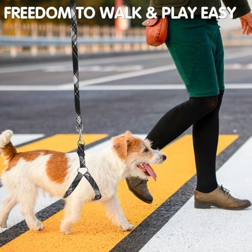 BINGPET No Pull Dog Harness Leash Collar Set, Adjustable Step-in Vest - Image 2
