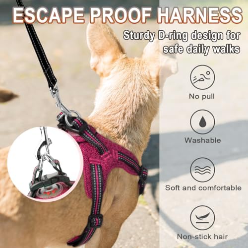 BARKBAY Small Dog Harness, No Pull Puppy Harness, Step-in Dog Vest - Image 4