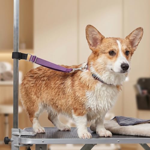 2PCS Dog Grooming Leash Grooming Loop Groomings Loops - Image 5