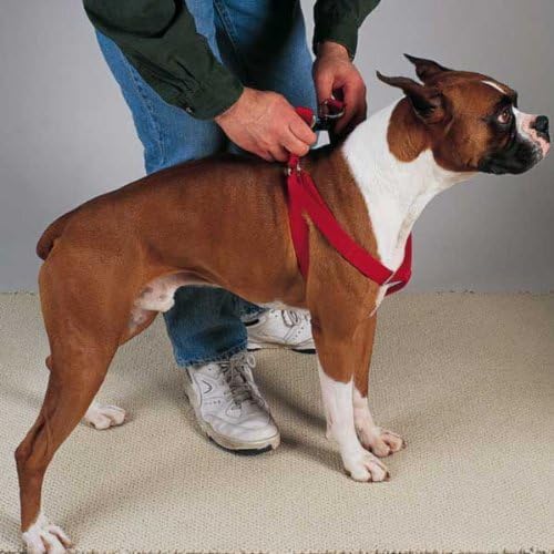 HDP Step in Harness Dog Pet Walk Adjustable - Image 3