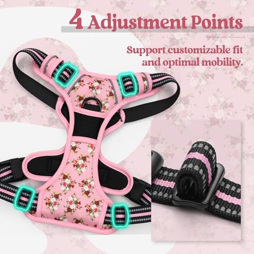 rabbitgoo Dog Harness, No Pull for Large Dogs - Image 4