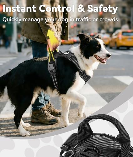 Joytale No Pull Dog Harness for Extra Large Dogs, Front Clip - Image 3