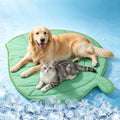 Paw Legend Dog Cooling Mat 45.3" x 55.1", Reversible Pet Cooling Pad Blanket by PawLegend