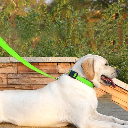 6 FT Basic Dog Leash for Large Dogs - Image 3