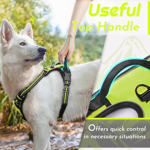 Eagloo Dog Harness for Small Dogs, No Pull Pet Vest - Image 5