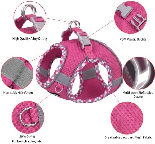 AIITLE Breathable Dog Harness Small Sized and Leash Set - Image 3
