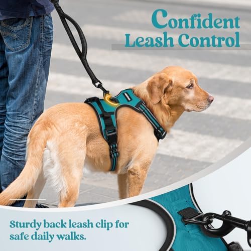 rabbitgoo Dog Harness, No Pull for Small Dogs - Image 6