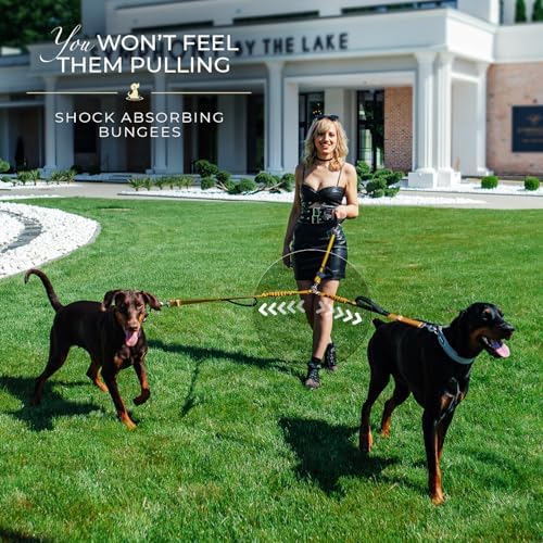 Premium Double Leash for Two Dogs, Medium & Large Breeds - Image 3