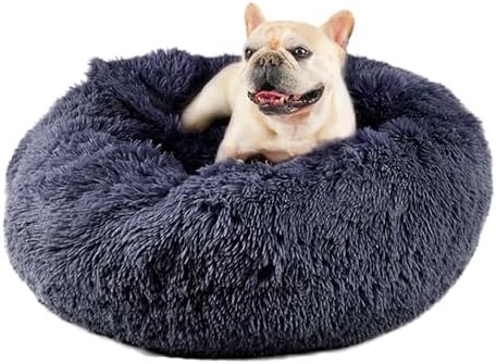 Himax Covered Medium Dog Bed by HIMAXPET