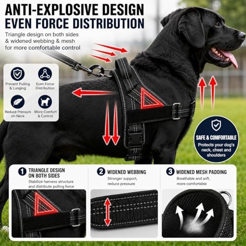 Adjustable Dog Harness No Pull - Image 5