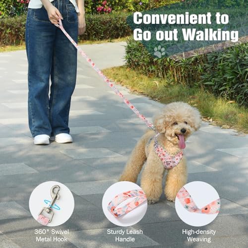 Pawaboo Small Dog Harness and Leash Set, Puppy Harness X-Frame Adjustable - Image 6