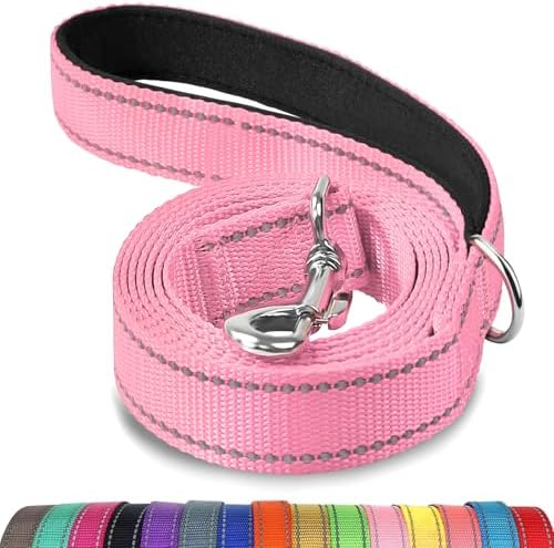 Joytale Reflective Dog Leash for Small Dogs, 5 FT x 3/4" by Joytale