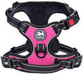PoyPet No Pull Dog Harness Large by PoyPet