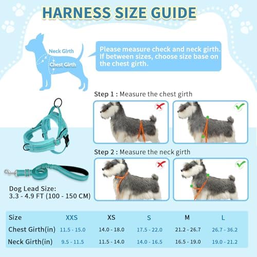 SlowTon No Pull Small Dog Harness and Leash Set - Image 5