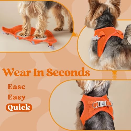 rabbitgoo Step-in Small Dog Harness, Puppy Vest - Image 5
