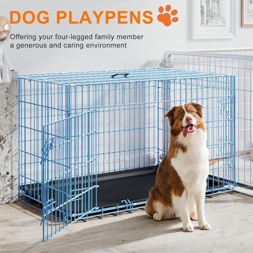 FDW | 48" Foldable Metal Dog Crate | Blue | Cage - Image 2