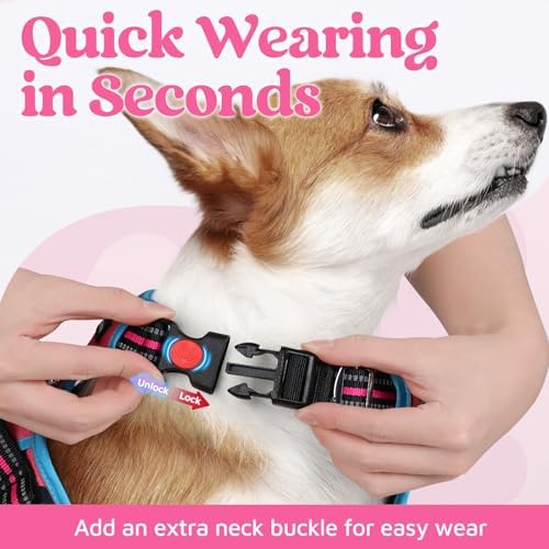 rabbitgoo Dog Harness for Large, No Pull 3 Buckles Easy On & Off - Image 2