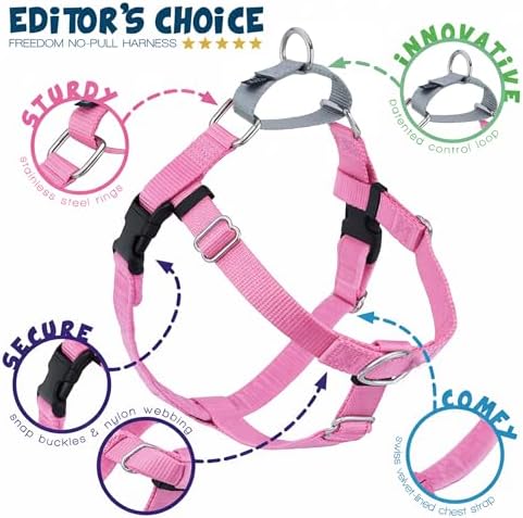2 Hounds Design Freedom No Pull Dog Harness and Leash, 5/8" SM - Image 4