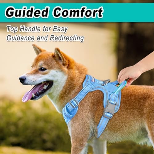 BARKBAY Dog Harness for Medium Sized Dog No Pull Mesh 2 Clips Dog Vest - Image 4