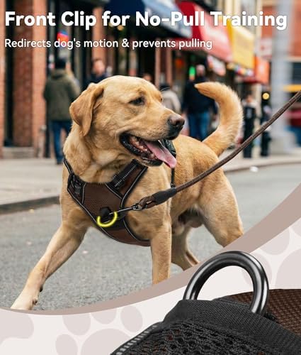 Joytale No Pull Dog Harness Medium Sized Dog, Front Clip - Image 2